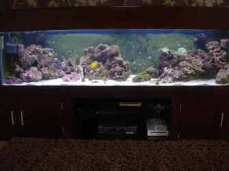 cleaned.webp