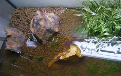 DSCF3605.webp