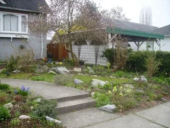 house1.webp
