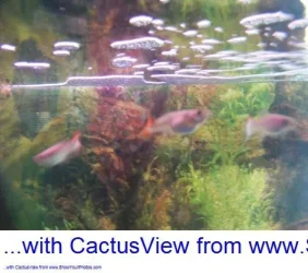 DSCF0225.webp