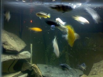 feeding_2.jpg