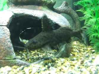 Picture_2.webp