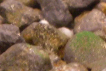 Untitled.webp
