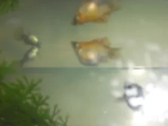 Fish_and_me_Pics_018.webp Fish_and_me_Pics_018.webp