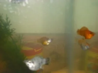 Fish_and_me_Pics_009.webp Fish_and_me_Pics_009.webp