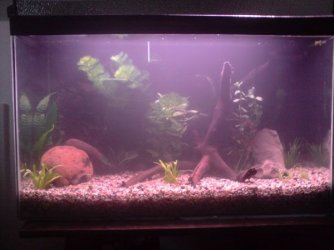 tank1.jpg tank1.jpg