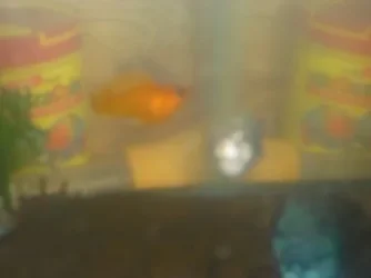 Fish_and_me_Pics_005.webp Fish_and_me_Pics_005.webp
