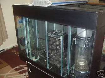 tank3.webp