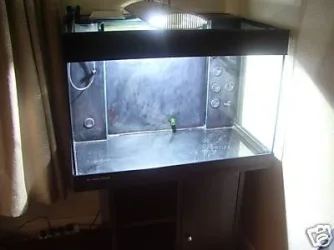 tank2.webp