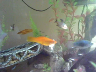 Pic_0046.webp