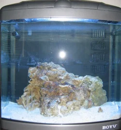 TheTank.webp