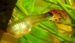 P5130069.JPG P5130069.JPG