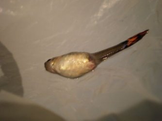 P5130083.JPG P5130083.JPG