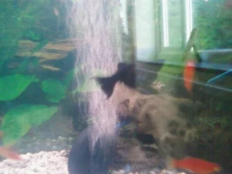 Photo0429.webp