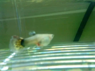 DSC00118.webp