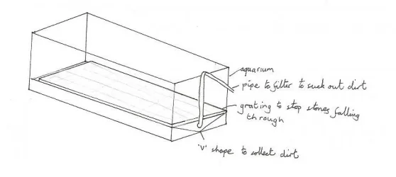 A2_20project.webp