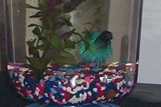 100_0355.webp