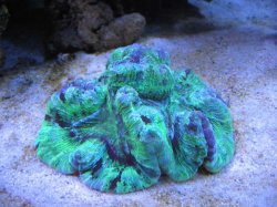 IMG_0050.jpg