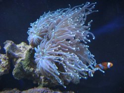 IMG_0053.jpg