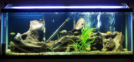 45_gallon_hot_feb3.webp