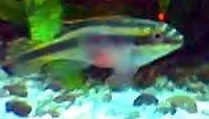 Untitled_1.webp