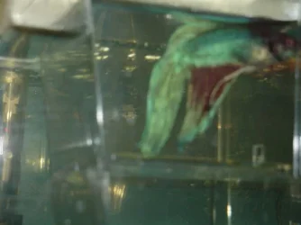 Picture_790.webp