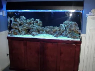 tank_18.webp