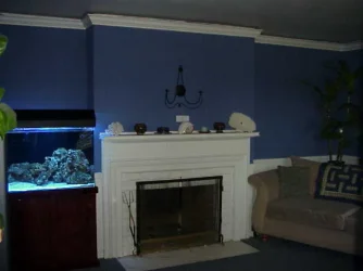 tank_20.webp
