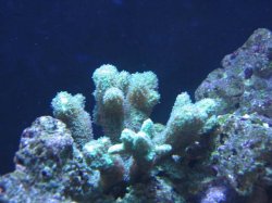 IMG_0046.jpg