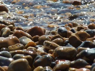 026.webp