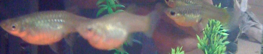 02.webp