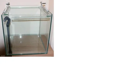 tank.webp