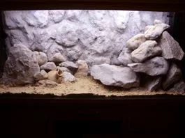 Tank.webp