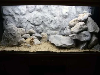 Tank2.webp