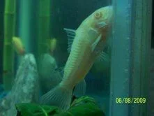 01_cory.webp