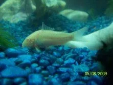 1_cory.webp