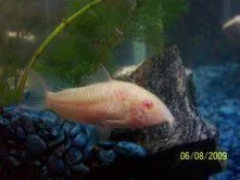 03_cory.webp