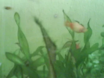 DSC00096.webp