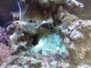 SP_A0347.webp