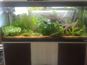 Fulltank18.09.webp