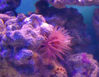 07082009085.webp