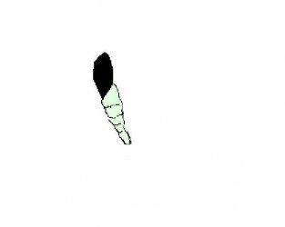 Untitled.jpg