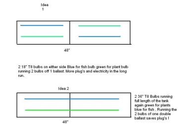 Lighting.webp