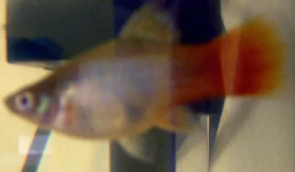 DSCN0855.webp