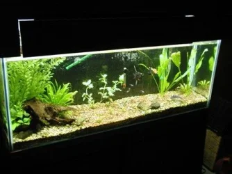 aquarium_new_004.webp