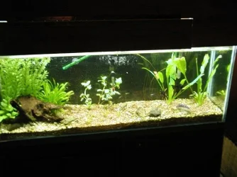 aquarium_new_007.webp