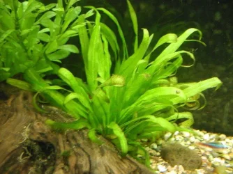 aquarium_new_006.webp