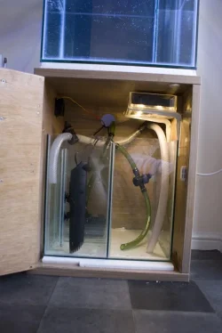 sump1.webp