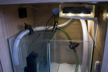 Sump2.webp