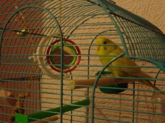 005.webp